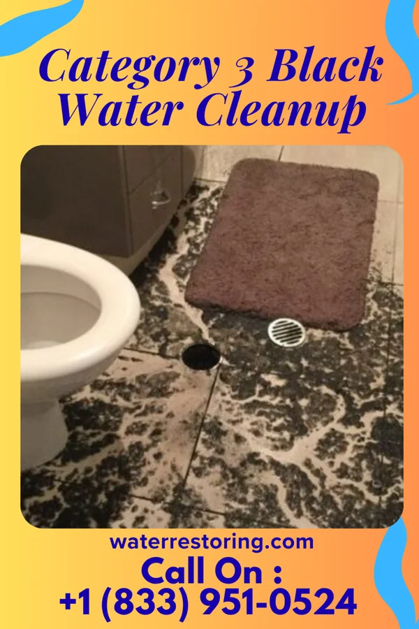 Category 3 Black Water Cleanup in Clarksville, OH