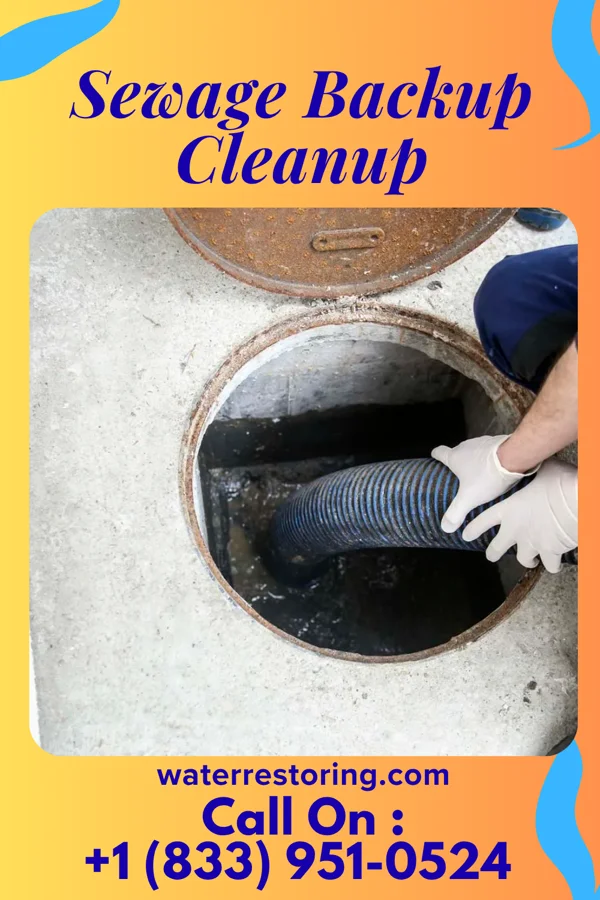 Sewage Backup Cleanup in Clarksville, OH