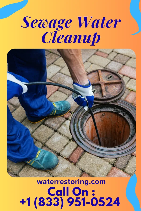 Sewage Water Cleanup in Clarksville, OH